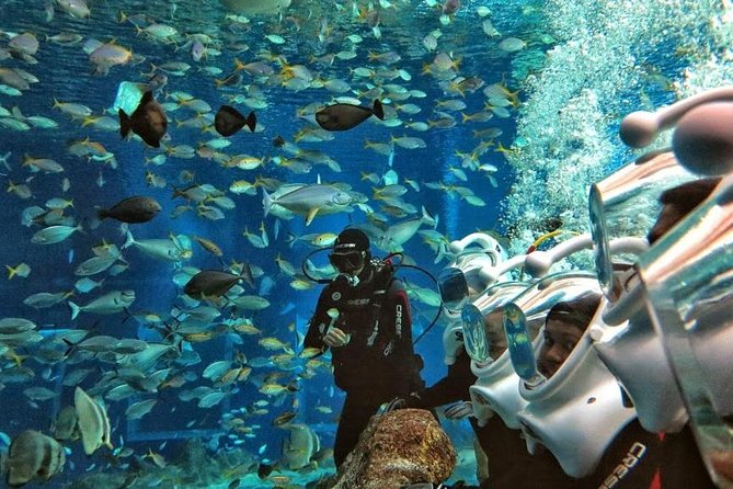 Bali Ocean Walker - The hotel pickup keeps the day easy