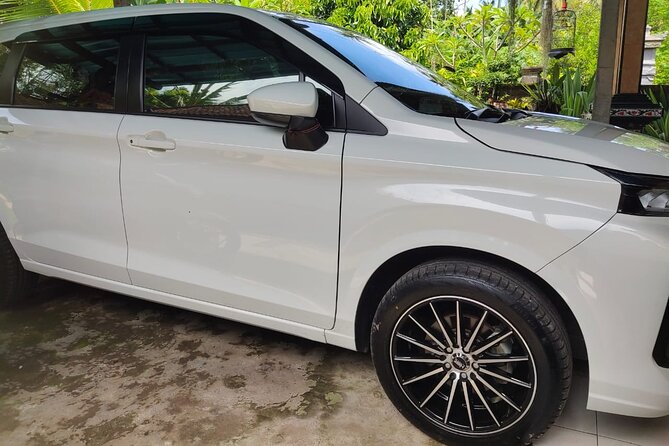 Bali Private Car and Customize Tour With English Speaking Driver - Ubud stops: monkeys, rice terraces, and staged photographs