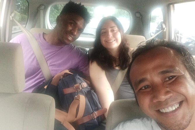 Bali Private Car and Driver – Explore the Island Your Way - Car comfort and what is included