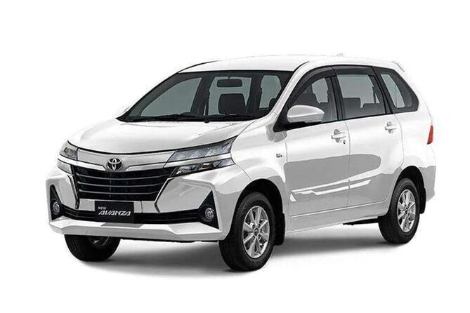 Bali Private Car Charter - Why the private format helps families and small groups