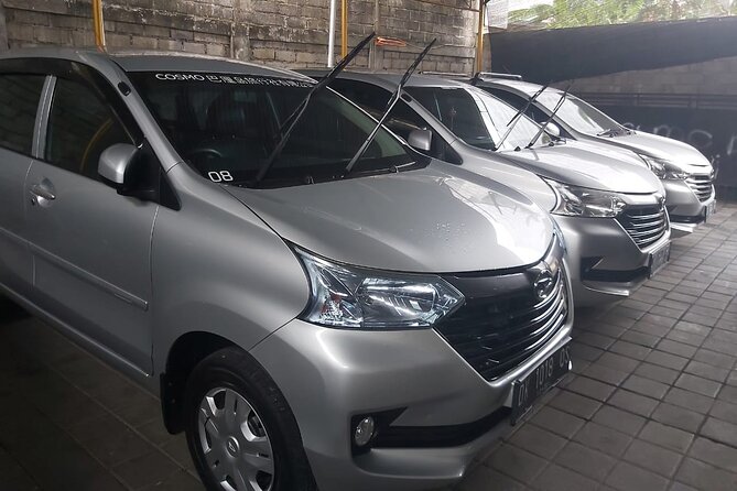 Bali Private Car Charter - Timing, traffic, and the extra-hour charge