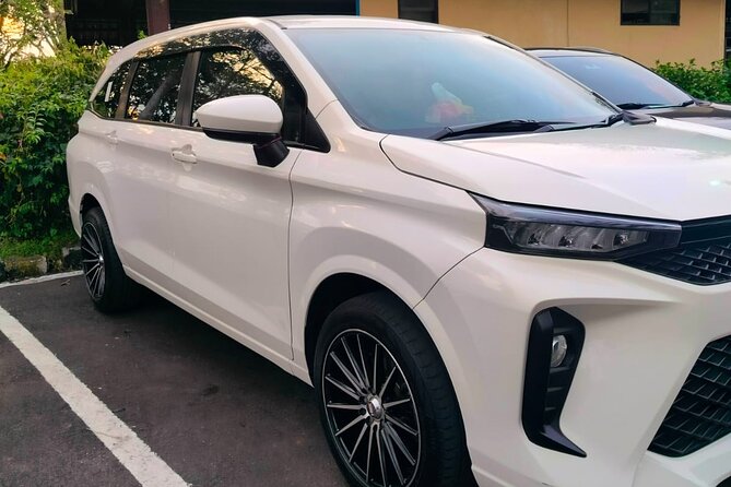 Bali Private Car Charter & Customize Tour With Driver English Speaking-Free WiFi - Starting with temples and Ubud culture