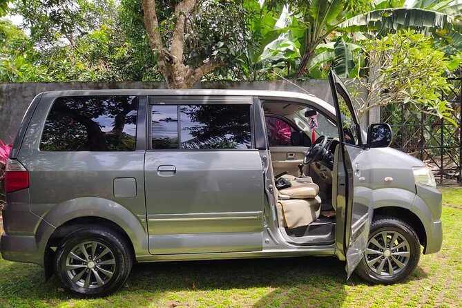 Bali Private Car Charter & Customize Tour With Driver English Speaking-Free WiFi - Tirta Empul and the meaning of a holy spring