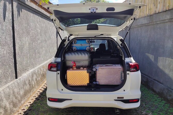 Bali Private Car Charter & Customize Tour With Driver English Speaking-Free WiFi - Swings, coffee, and the commercial side of Bali