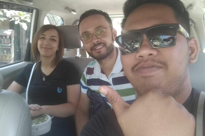 Bali Private Car Charter With Driver - What the car service includes