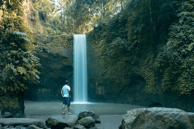 Bali Private Car Charter with English Speaking Driver - Timing, comfort, and who should book