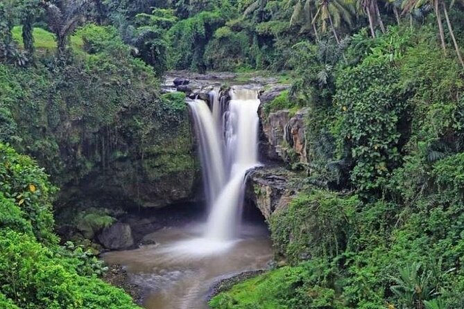 Bali Private Car Charter with English Speaking Driver Or Guide - Rice terraces and countryside stops