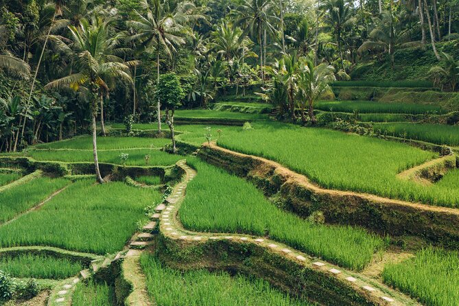 Bali Private Car Full Day Customized Tour With Drone Service - What the private car includes, and what it does not