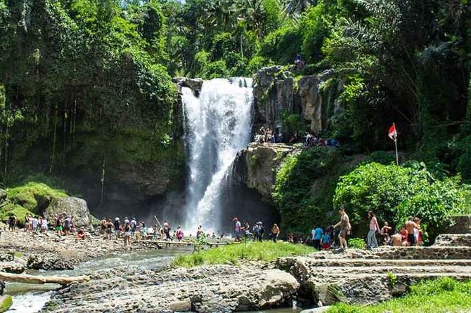 Bali Private Car Hire with Driver - Kintamani and the highland views