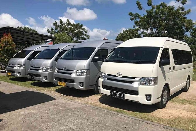 Bali Private Car Hire with English-Speaking Driver - How the four-stop schedule works in real life