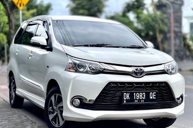 Bali Private Car Service with English Speaking Driver - Ubud: temples, rice terraces, and a full sightseeing day