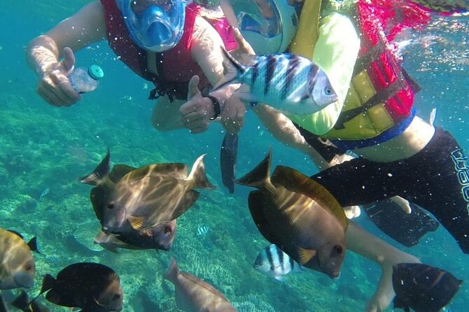 Bali Private Custom Tour - A private Bali day without a fixed script