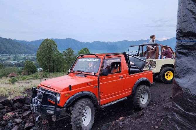 Bali Private Custom Tour - Pickup and planning details from Seminyak