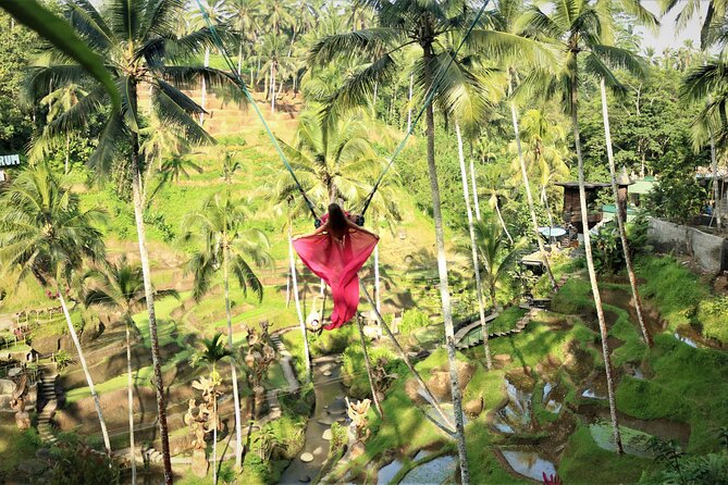 Bali Private Full Day Tour to Visit the Best Waterfalls and Swing near Ubud - Why a Private Driver Matters on This Route