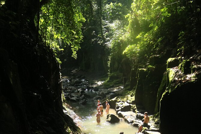 Bali Private Full Day Tour to Visit the Best Waterfalls and Swing near Ubud - Timing, Meals, and Extra Costs