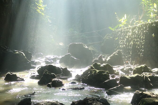 Bali Private Full Day Tour to Visit the Best Waterfalls and Swing near Ubud - Should You Book the Waterfall and Swing Tour?