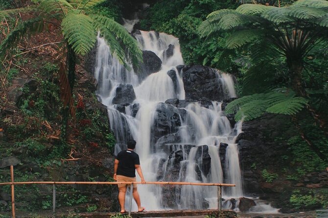 Bali : Private Fullday trip, Discover North Bali Destination - Banyumala Twin Waterfalls: the main nature stop