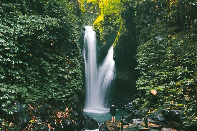 Bali : Private Fullday trip, Discover North Bali Destination - Coffee plantations, fruit markets, and local contact