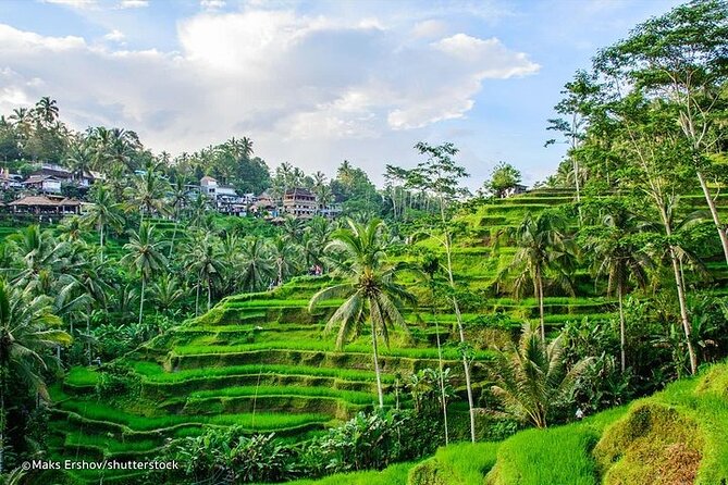 Bali Private inclusive tour: Best of Ubud in a Day - What this Ubud day is really designed to do
