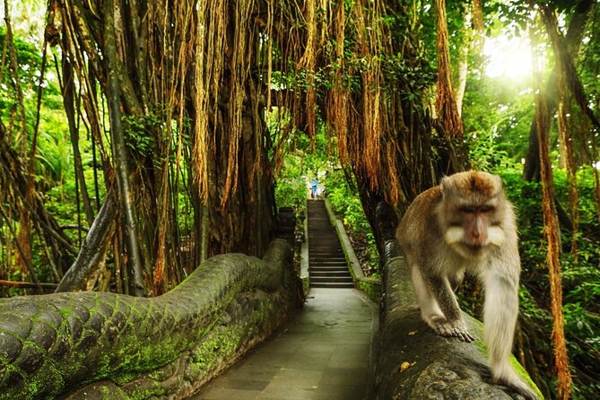 Bali Private inclusive tour: Best of Ubud in a Day - Puri Saren Palace closes the cultural loop