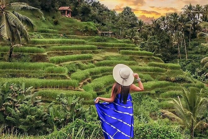 Bali Private Tour - Best of Ubud - All Inclusive - Tegenungan Waterfall: A lowland stop with a different feel