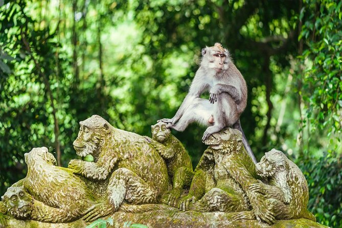 Bali Private Tour - Best of Ubud - All Inclusive - Monkey Forest: Ubud’s leafy opening stop