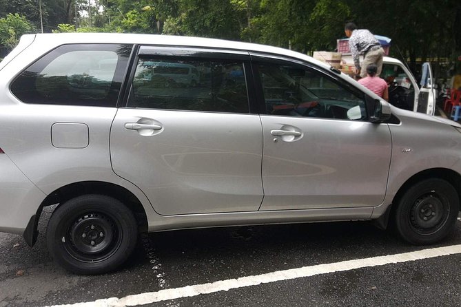 Bali Private Tour - Car with Driver - Should You Book the Bali Private Car and Driver?