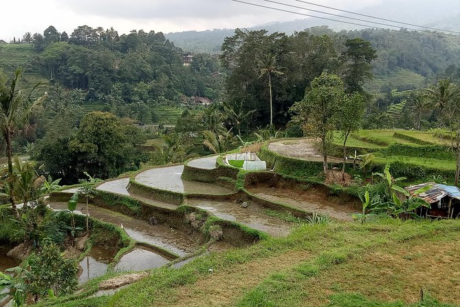 Bali Private Tour Guide And Driver - What a day with Agung might look like
