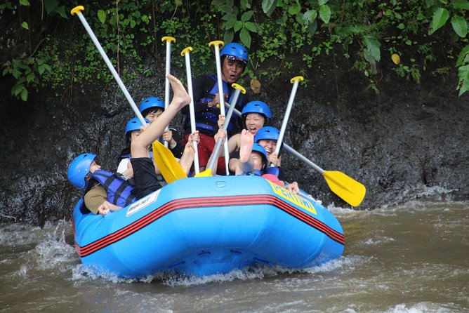 Bali Private Tour Guide And Driver - Pickup, meeting point, and timing