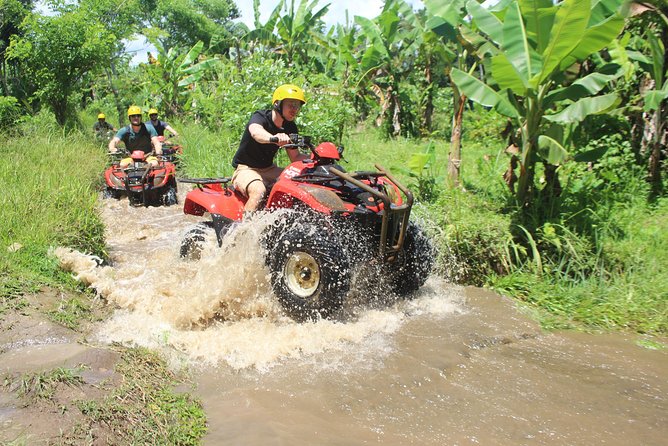 Bali Private Tour Guide And Driver - The guide’s approach and communication