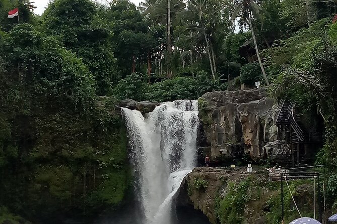 Bali Private Tour Guide And Driver - Questions to ask before you go