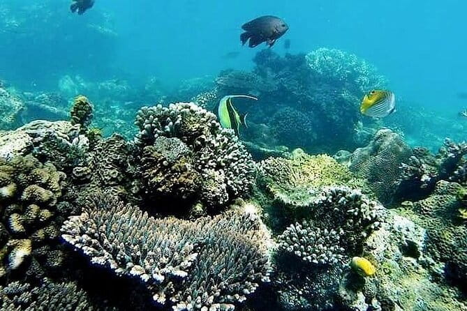 Bali Private Tour: Waterfall, Monkey forest and Tanah lot sunset - Ubud Palace and the traditional art market