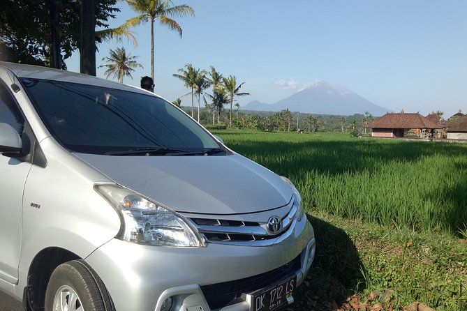 Bali Private Transfer Services - Choosing between the six-seat car and 15-seat minibus