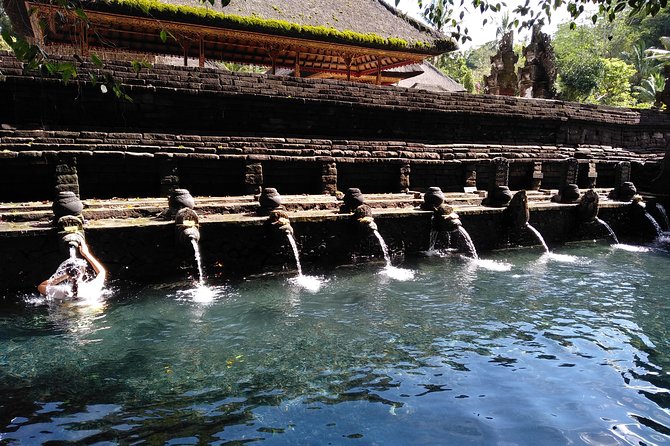 Bali Purification Ritual - What the $65 price really covers