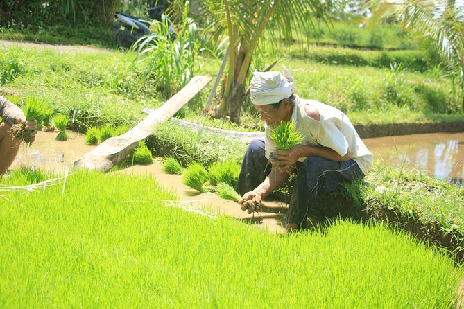 Bali Quad and Buggy Discovery Tour, Including Round-Trip Transfer - What to wear and what to bring