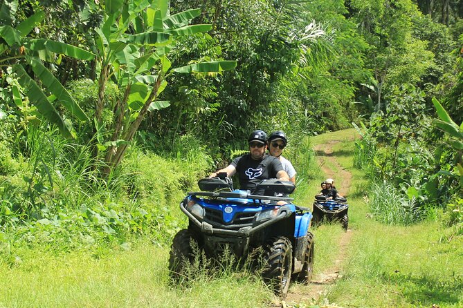 Bali Quad and Buggy Discovery Tour, Including Round-Trip Transfer - Choosing between a quad bike and buggy car