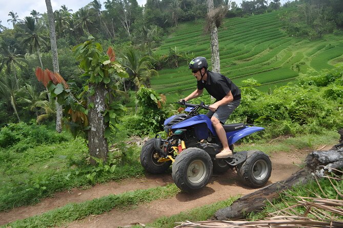 Bali Quad Bike : Best ATV Ride Adventures - Lunch adds real value to the $35 price