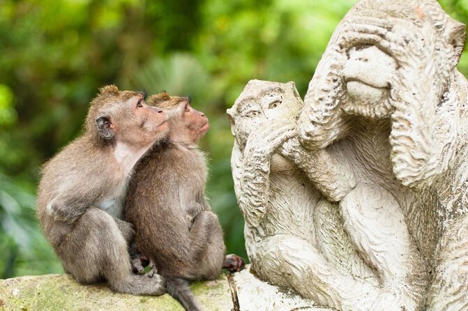 Bali Quad Bike Through Gorilla Cave - Monkey Forest and Waterfall - Quick take: what makes this Ubud day different