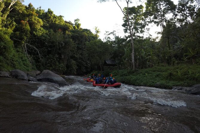 Bali Rafting - Who will enjoy this most