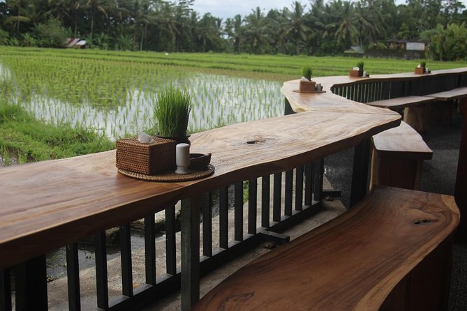 Bali Rafting Including Lunch and Transport - What the service record tells you