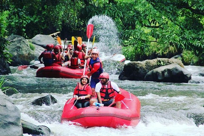 Bali Rafting Including Lunch and Transport - Hotel pickup from Nusa Dua and Ubud