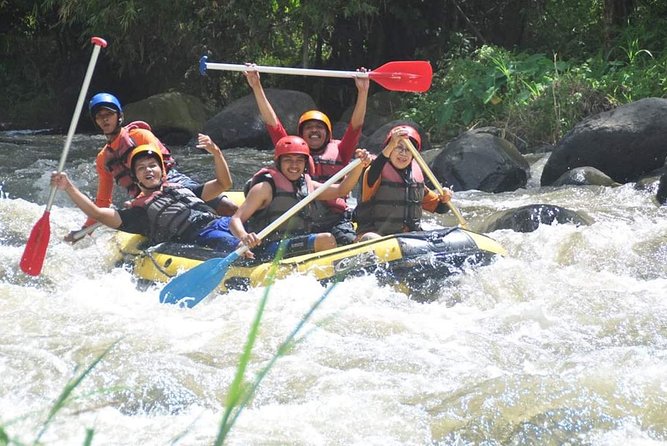Bali Rafting - Ubud River Rafting With Lunch - Should You Book Ayung River Rafting?