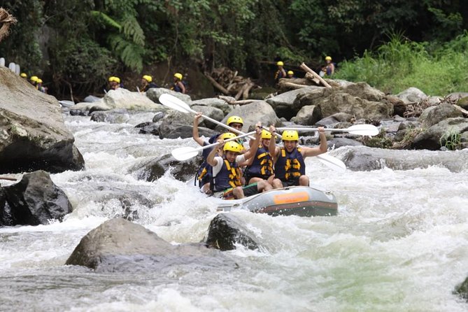 Bali Rafting Ubud with Lunch - What the outing feels like for families