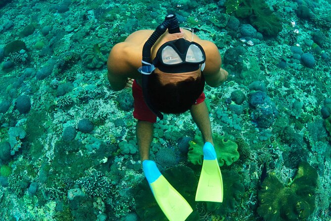 Bali Reef Cruise and Lembongan Island Day Trip - From Benoa Harbour to Lembongan Bay