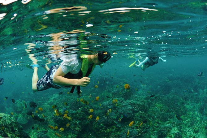 Bali Reef Cruise and Lembongan Island Day Trip - Paid extras and the true value