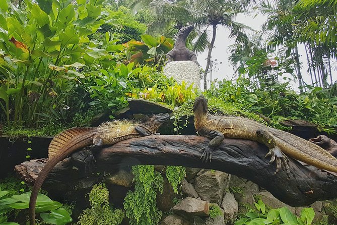 Bali Reptile Park Entrance Ticket - Reptile Shows And Crocodile Feeding