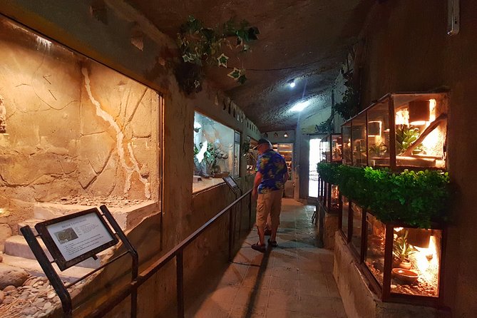 Bali Reptile Park Entrance Ticket - Is The $15.27 Admission Good Value?