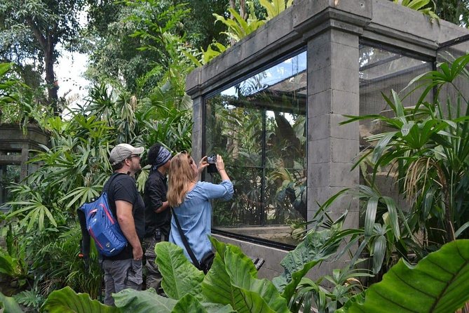 Bali Reptile Park Entrance Ticket - Practical Tips For A Better Visit