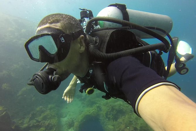 Bali Scuba Diving trip at Tulamben for Certified Diver - Is the $98.34 price good value?