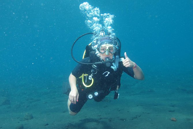 Bali Scuba Diving trip at Tulamben for Certified Diver - Who should book this experience?